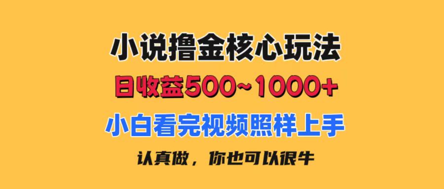 小说撸金核心玩法，日收益500-1000+，小白看完照样上手，0成本有手就行-云网创资源站