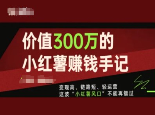 使用价值300万的小红书挣钱笔记，转现高、链接短、轻运营，这一波“小红书出风口”无法再错过了-云网创资源站