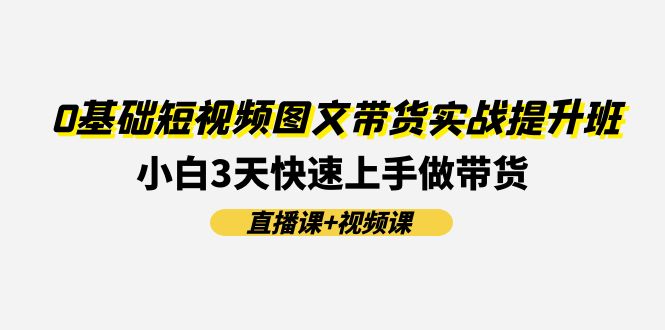 0基础短视频图文带货实战提升班，小白3天快速上手做带货(直播课+视频课)-云网创资源站