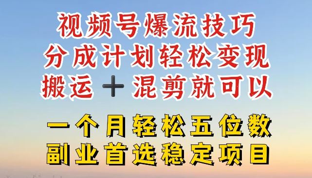 视频号爆流技巧，分成计划轻松变现，搬运 +混剪就可以，一个月轻松五位数稳定项目【揭秘】-云网创资源站