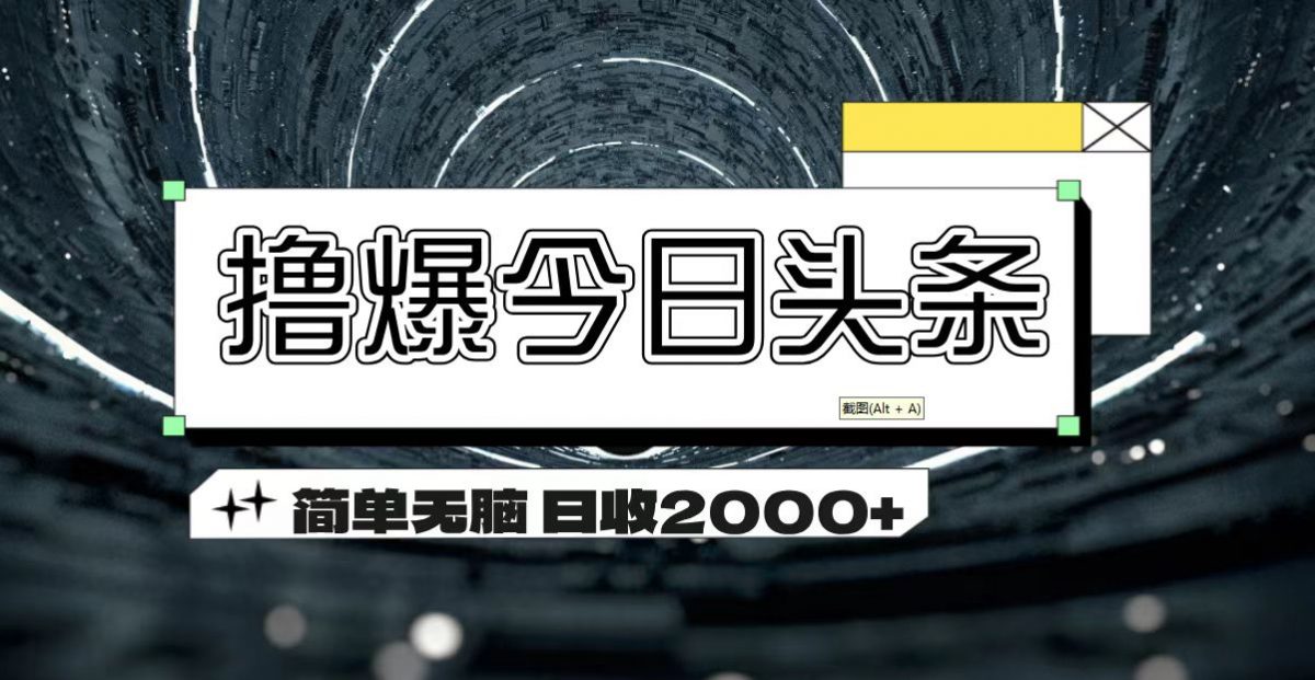 撸爆今日头条 简单无脑操作 日收2000+-云网创资源站