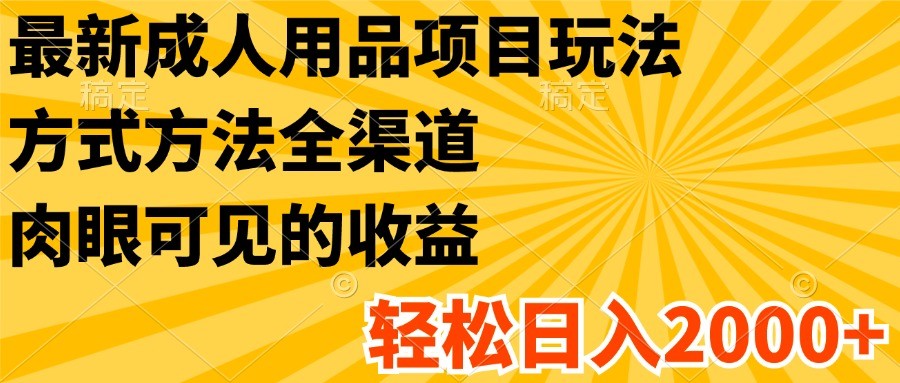 最新成人用品项目玩法，方式方法全渠道，肉眼可见的收益，轻松日入2000+-云网创资源站