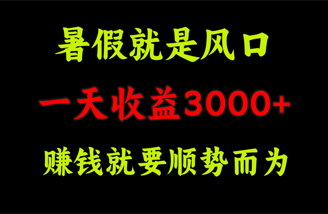 一天收益3000+ 赚钱就是顺势而为，暑假就是风口-云网创资源站