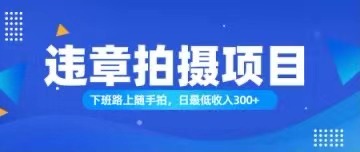 随手拍也能赚钱？对的日入300+-云网创资源站