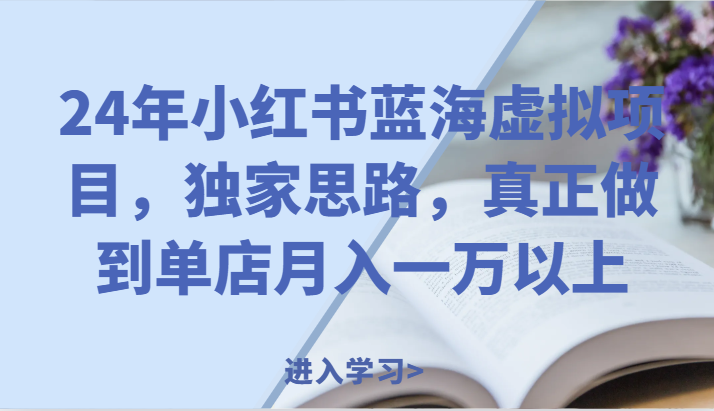 24年小红书蓝海虚拟项目，独家思路，真正做到单店月入一万以上。-云网创资源站