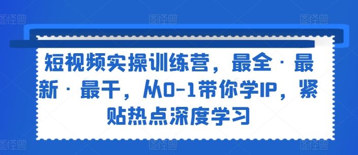 短视频实操训练营，最全·最新·最干，从0-1带你学IP，紧贴热点深度学习-云网创资源站