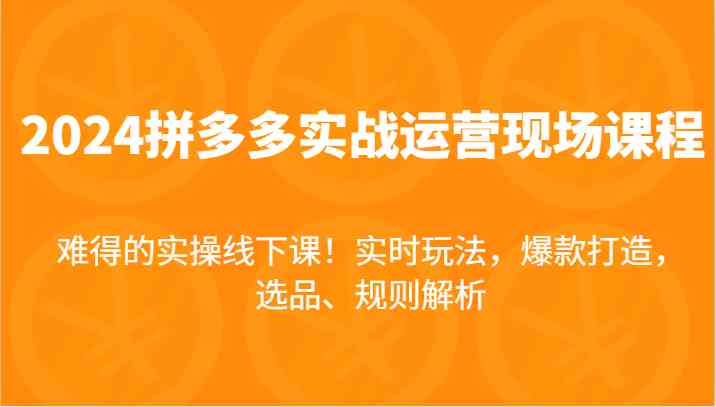 2024拼多多实战运营现场课，实时玩法，爆款打造，选品、规则解析，难得的实操线下课！-云网创资源站