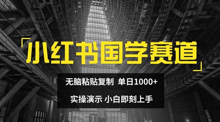 小红书国学赛道，无脑粘贴复制，单日1K，实操演示，小白即刻上手【揭秘】-云网创资源站