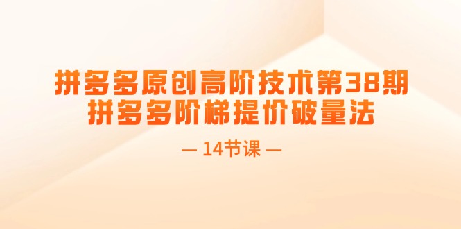 拼多多平台原创设计高级技术性第38期，拼多多平台台阶涨价破量法（14堂课）-云网创资源站