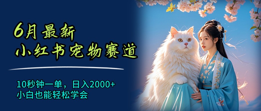 6月全新小红书的小宠物跑道，10秒左右一单，日入2000 ，新手都可以轻松懂得-云网创资源站