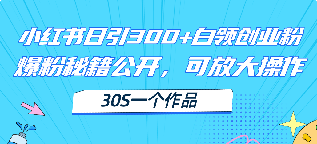 小红书日引300+高质白领创业粉，可放大操作，爆粉秘籍！30s一个作品-云网创资源站