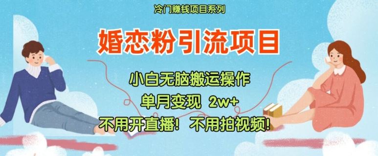 小红书婚恋粉引流，不用开直播，不用拍视频，不用做交付【揭秘】-云网创资源站