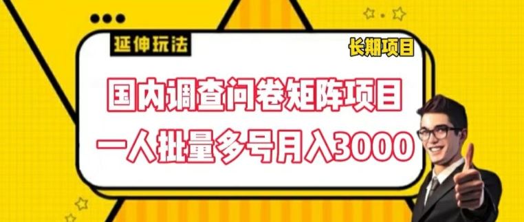 国内调查问卷矩阵项目，一人批量多号月入3000【揭秘】-云网创资源站