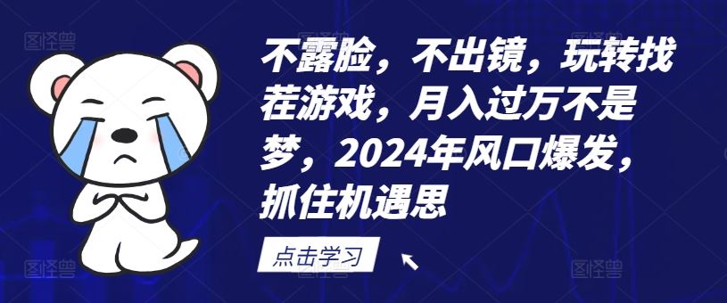 不露脸，不出镜，玩转找茬游戏，月入过万不是梦，2024年风口爆发，抓住机遇【揭秘】-云网创资源站