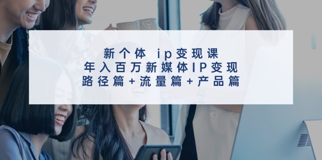 新个体 ip变现课，年入百万新媒体IP变现，路径篇+流量篇+产品篇-云网创资源站