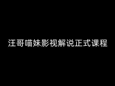 汪哥影视解说正式课程：剪映/PR教学/视解说剪辑5大黄金法则/全流程剪辑7把利器等等-云网创资源站