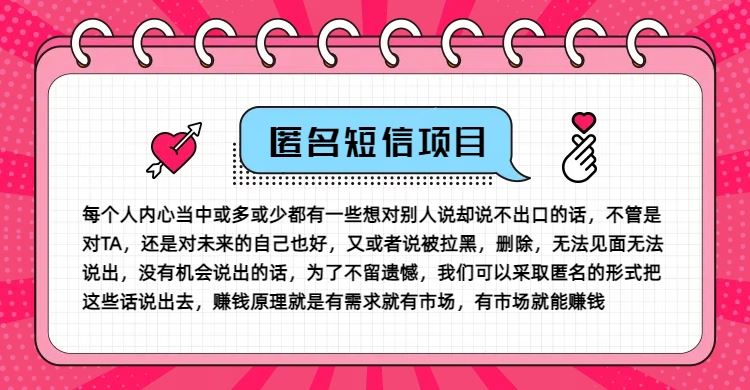 冷门小众赚钱项目，匿名短信，玩转信息差，月入五位数【揭秘】-云网创资源站