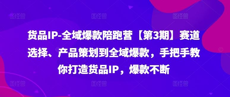 货品IP全域爆款陪跑营【第3期】赛道选择、产品策划到全域爆款，手把手教你打造货品IP，爆款不断-云网创资源站