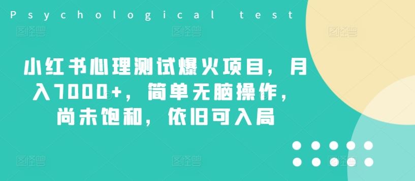 小红书心理测试爆火项目，月入7000+，简单无脑操作，尚未饱和，依旧可入局-云网创资源站