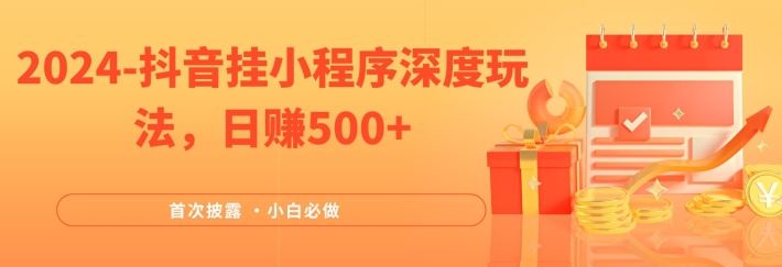 2024全网首次披露，抖音挂小程序深度玩法，日赚500+，简单、稳定，带渠道收入，小白必做【揭秘】-云网创资源站