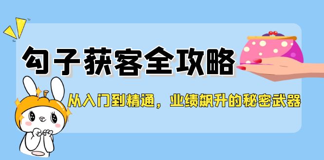 从入门到精通，勾子获客全攻略，业绩飙升的秘密武器-云网创资源站