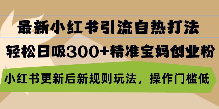 最新小红书引流自热打法，轻松日吸300+精准宝妈创业粉，小红书更新后新…-云网创资源站