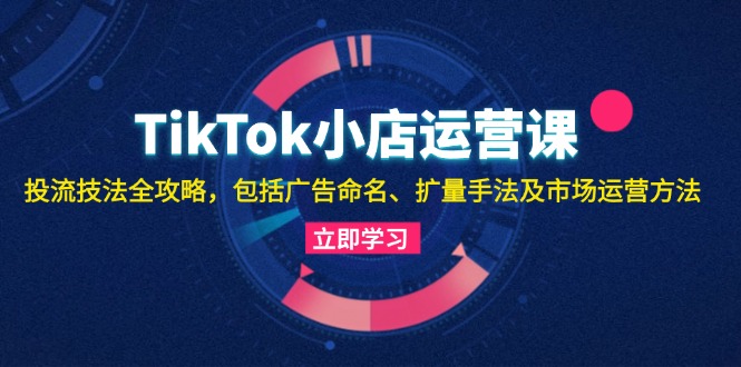 TikTok小商店运营课：投流手法攻略大全，包含广告宣传取名 扩量技巧以及市场运营方法-云网创资源站