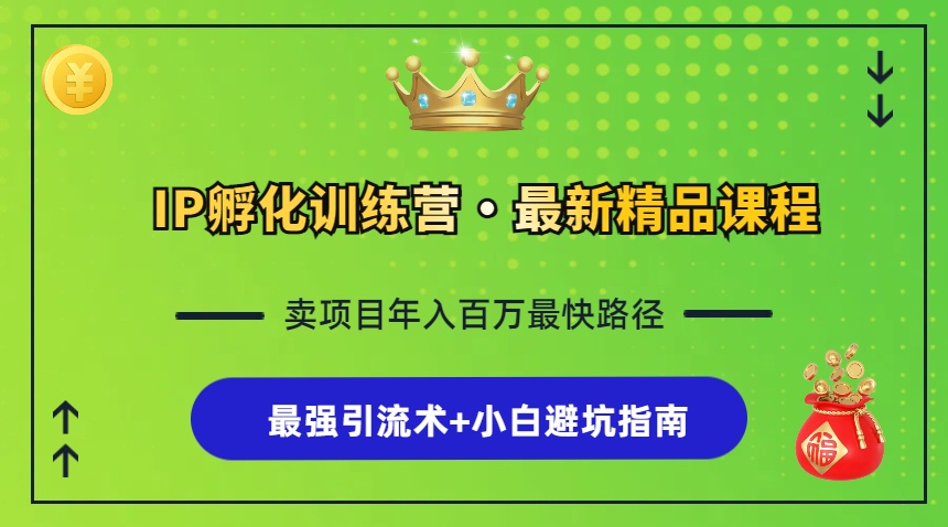 IP卵化夏令营，社交电商全过程 最牛引流术 新手避坑指南-云网创资源站