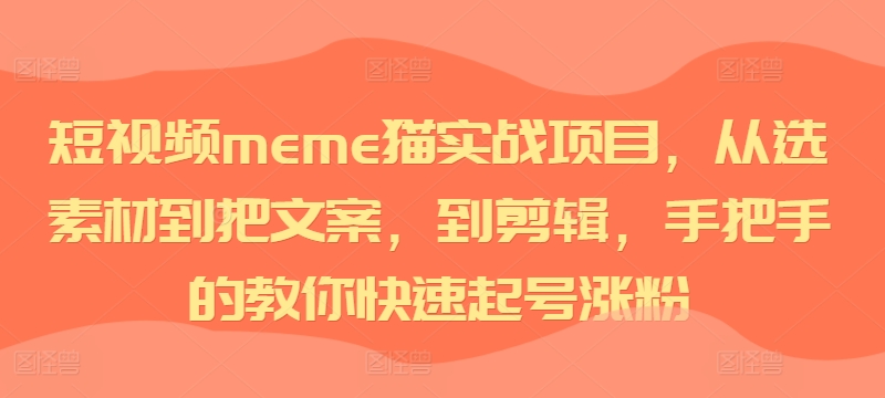 小视频meme猫实践项目，从选素材内容到把创意文案，到视频剪辑，手把手的教你迅速养号增粉-云网创资源站