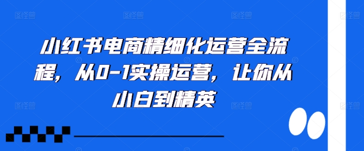 小红书电商精细化营销全过程，从0-1实际操作经营，使你从小白到精锐-云网创资源站