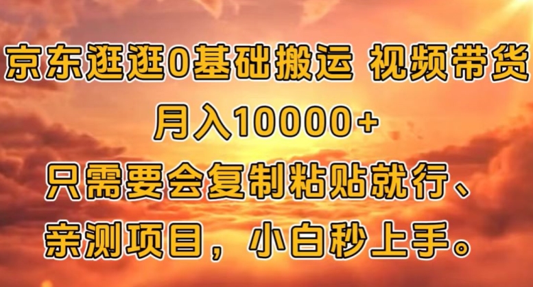 京东商城逛一逛0基本运送短视频带货【手机赚钱】月入1w-云网创资源站