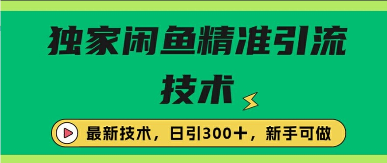 闭鱼精准引流，日引300+创业粉保姆级教程，新手可做-云网创资源站