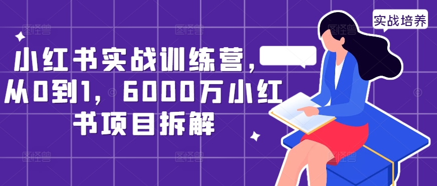 小红书的实战演练夏令营，从0到1，6000万小红书的新项目拆卸-云网创资源站