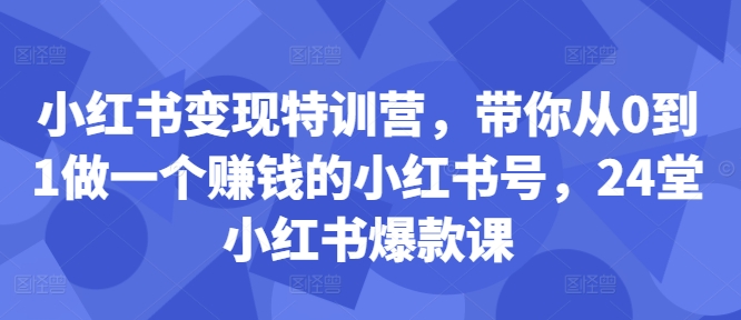 小红书的转现夏令营，陪你从0到1做一个挣钱的小红书号，24堂小红书爆款课-云网创资源站