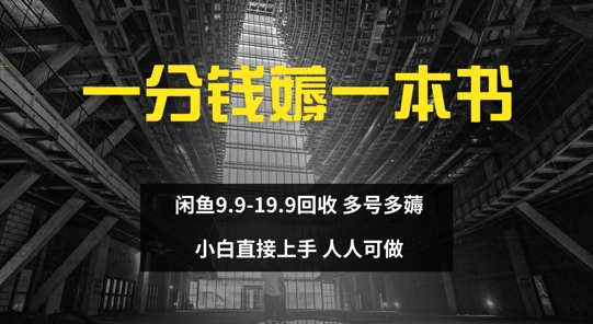 一分钱薅一本书 闲鱼9.9-19.9回收 多号多薅 小白直接上手-云网创资源站