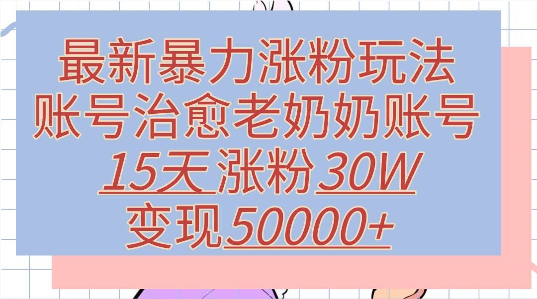 最新暴力涨粉玩法，治愈老奶奶账号，15天涨粉30W，变现至少五位数+-云网创资源站