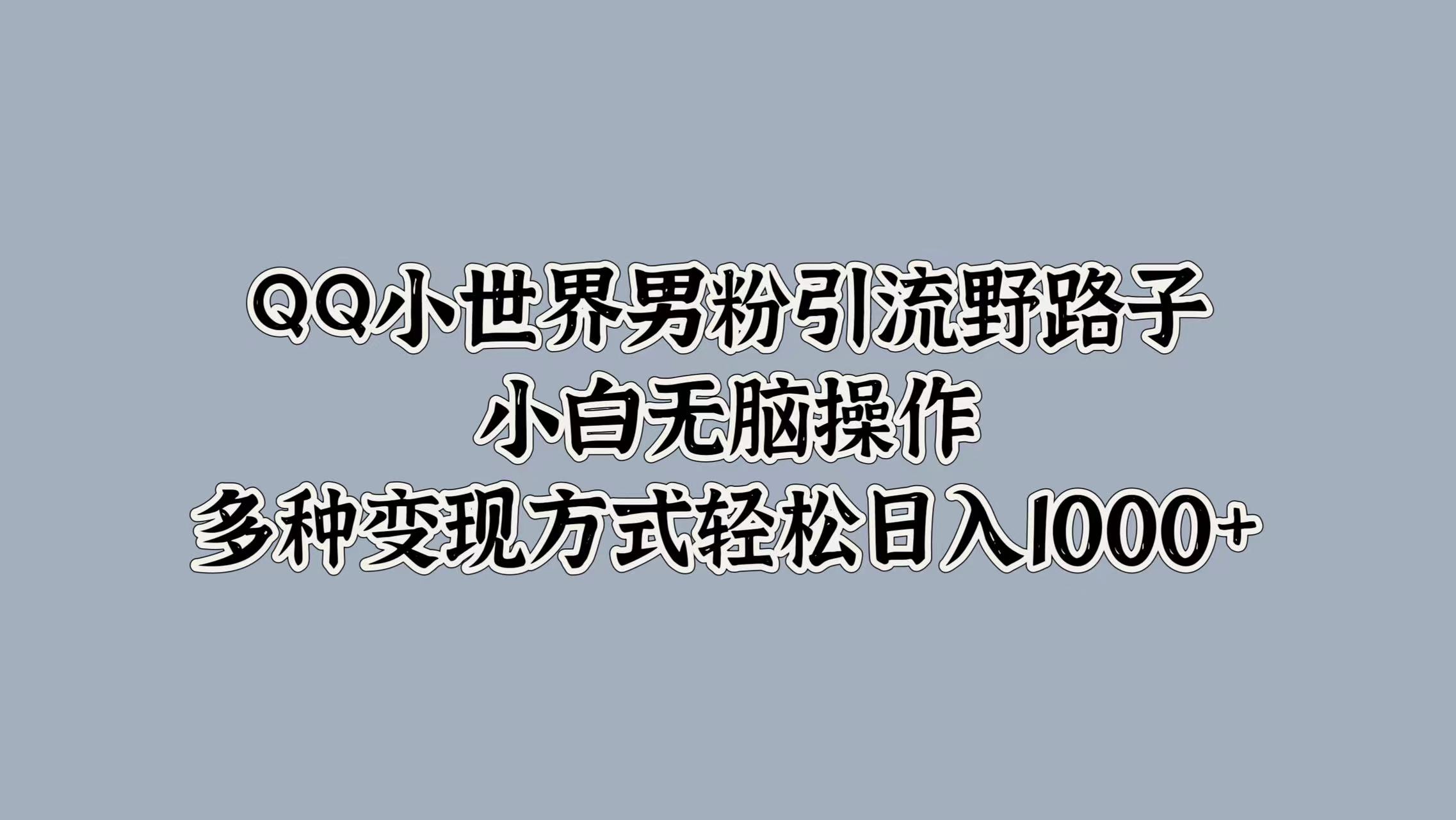 QQ小世界男粉引流野路子，小白无脑操作，多种变现方式-云网创资源站