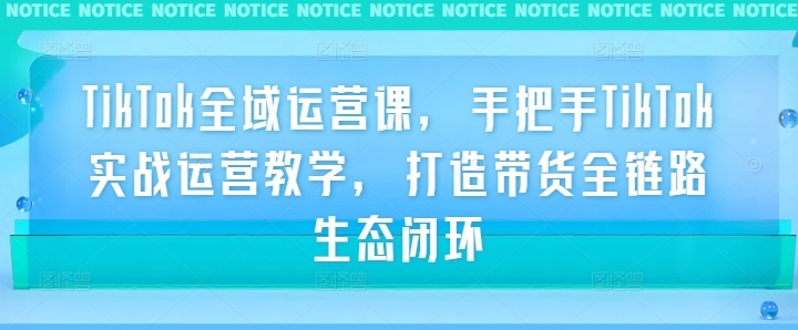 TikTok全域运营课，手把手TikTok实战运营教学，打造带货全链路生态闭环-云网创资源站