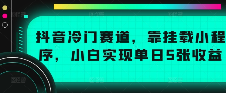 抖音冷门赛道，靠挂载小程序，小白实现单日5张收益-云网创资源站