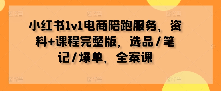 小红书1v1电商陪跑服务，资料+课程完整版，选品/笔记/爆单，全案课-云网创资源站