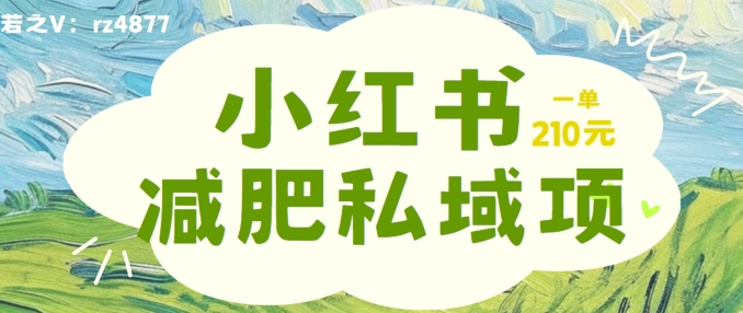 小红书减肥粉，私域变现项目，一单就达210元，小白也能轻松上手【揭秘】-云网创资源站