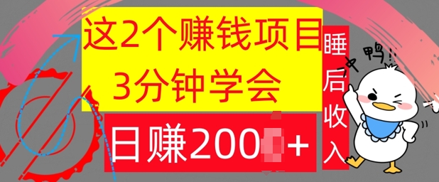 这2个项目，3分钟学会，日赚几张，懒人捡钱-云网创资源站