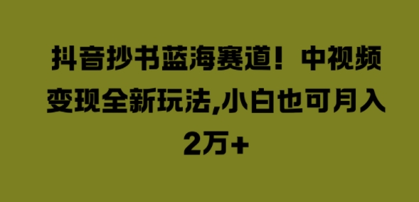 抖音抄书蓝海赛道，中视频变现全新玩法，小白也可月入2W+-云网创资源站