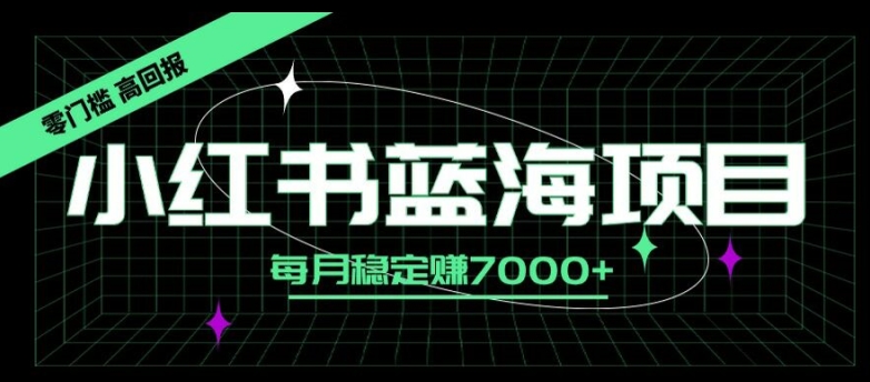 小红书蓝海项目，零门槛、高回报，每月稳定赚7000+-云网创资源站