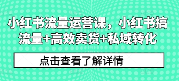 小红书流量运营课，小红书搞流量+高效卖货+私域转化-云网创资源站