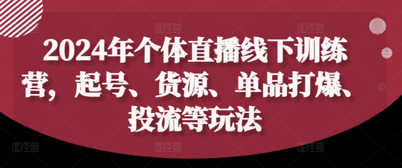 2024年个人直播间夏令营，养号、一手货源、品类打穿、投流等玩法-云网创资源站