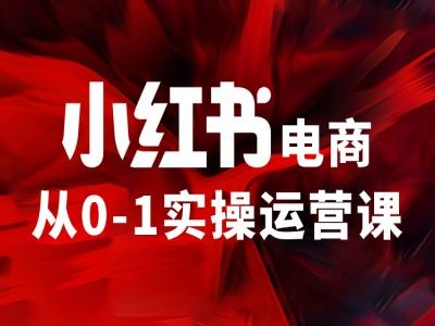 小红书电商从0-1实际操作运营课，使你从小白到精锐-云网创资源站