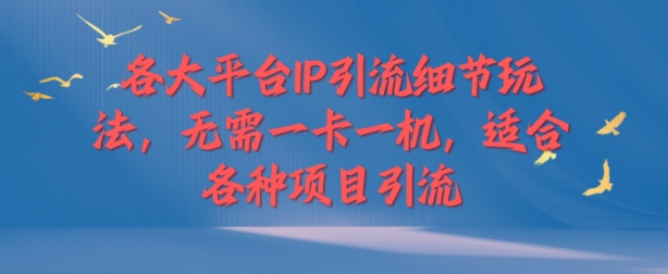 各个平台IP引流方法小细节游戏玩法，不用一卡一机，适用于各种新项目引流方法-云网创资源站