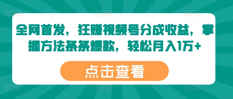 独家首发，狂赚微信视频号分为盈利，掌握方法一条条爆品，轻轻松松月入1万-云网创资源站