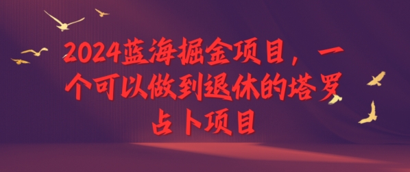 2024瀚海掘金队新项目，一个能做到退休塔罗牌占卜新项目-云网创资源站